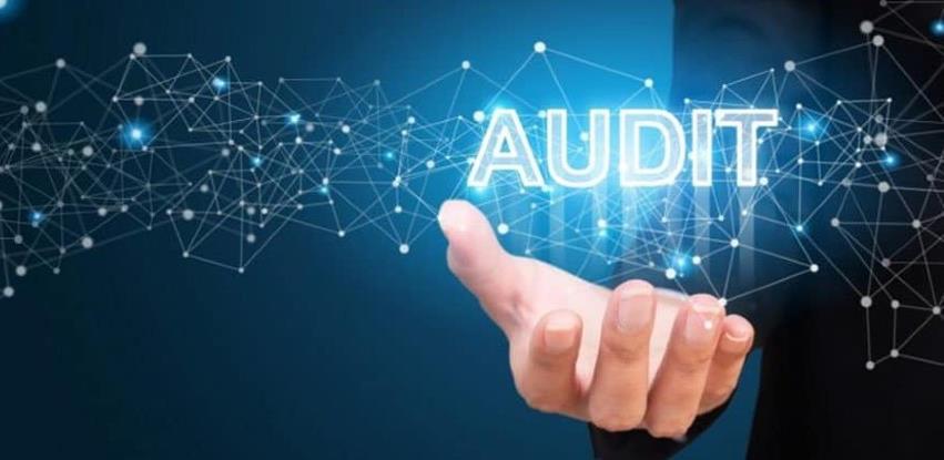 Auditor