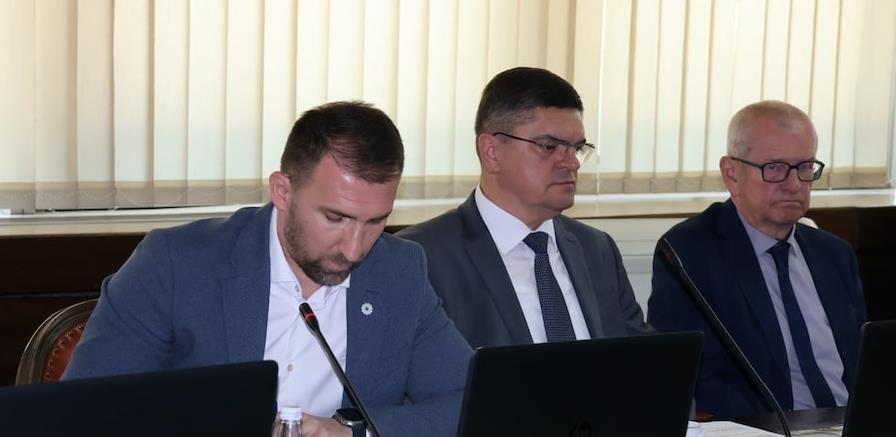 DELIĆ